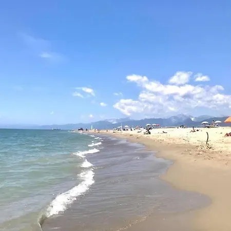 Via Puccini 217 公寓 维亚雷焦